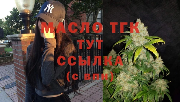 сатива Болхов
