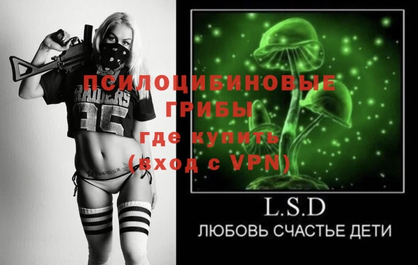 дживик Бикин