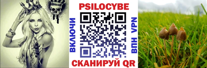 Псилоцибиновые грибы ЛСД  Богородицк 