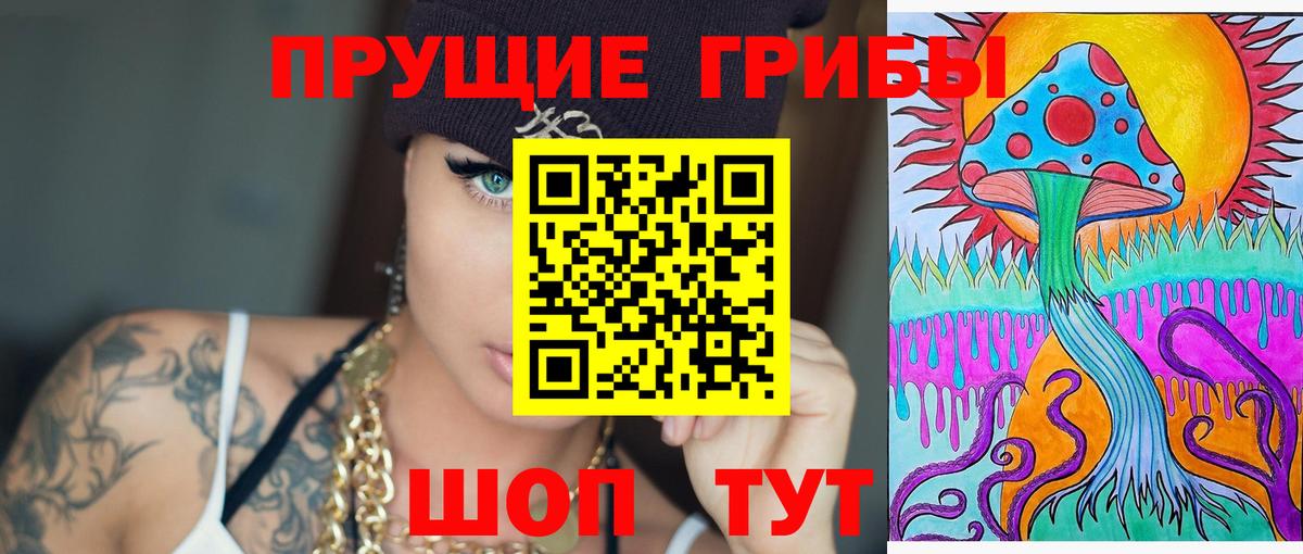 Псилоцибиновые грибы Cubensis Богородицк