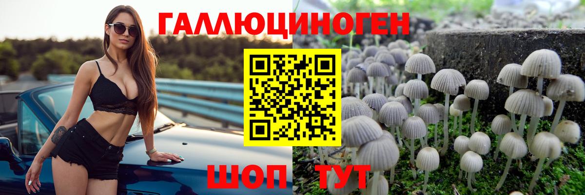 Галлюциногенные грибы Psilocybe Богородицк